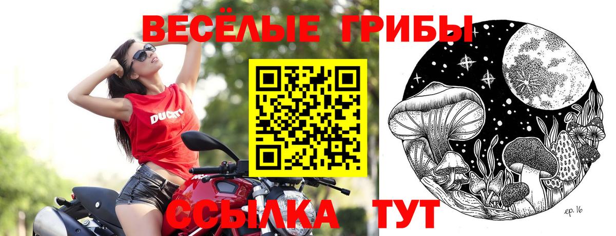 Галлюциногенные грибы прущие грибы Гуково