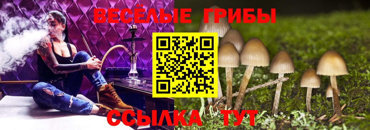 Гуково  Псилоцибиновые грибы Psilocybine cubensis  Вход с VPN 